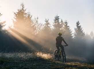 Man cyclist in cycling suit riding bicycle near forest illuminated by morning sunlight. Bicyclist...