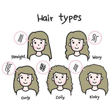 Woman hair types cartoon vector infographic illustration
