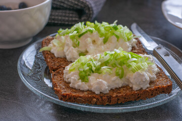 Open faced whole grain sandwich with cottage cheese and scallions
