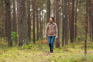 Fototapeta premium picking season, leisure and people concept - young asian woman with mushrooms in basket walking in autumn forest