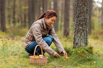 picking season, leisure and people concept - young asian woman with basket and knife cutting chanterelle mushroom in autumn forest