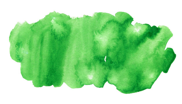 Green watercolor art hand paint on white background isolated, brush texture for text or logo © Oleksandr Blishch