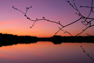 Sunset over lake with reflection and tree branches in Tampere, Finland