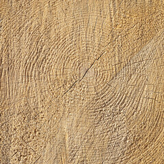 Fototapeta premium sawn wood texture