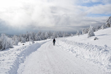 Harzer Brocken im Winter