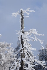 Harzer Brocken im Winter