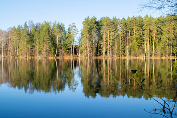 Fototapeta na wymiar Northern boreal lake in forest with reflection trees in blue water
