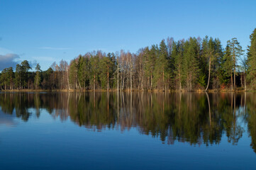 Northern boreal lake in forest with reflection trees in blue water