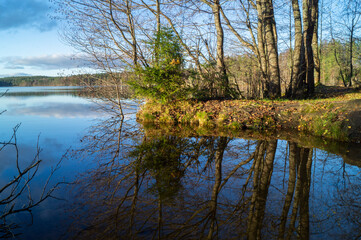 Northern boreal lake in forest with reflection trees in blue water