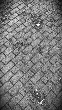 Textured paving slabs in gray. Smooth plane paved with paving slabs at an oblique angle. Just a several gray briks on a floor