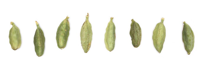 Green cardamom pods set, row isolated on white background, top view