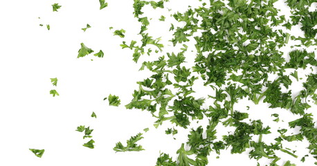 Fresh green sliced French parsley leaves isolated on white background, top view