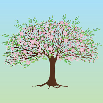 A broad tree with pink blossoms and leafs