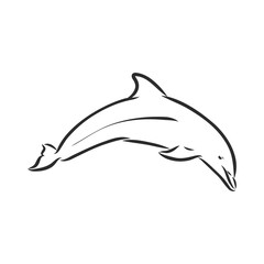 simple dolphin silhouette. dolphin, vector sketch on a white background