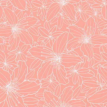 Outline floral vector seamless pattern. White flower contour on pink background. Hand drawn Rhododendron and Lily flower heads for textile, wrapping, greeting card, print, fashion design