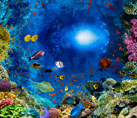 Fototapeta na wymiar Group of scuba divers exploring coral reef. Underwater sports and tropical vacation concept