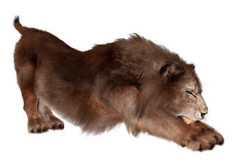 Obraz premium 3D Rendering Sabertooth Tiger on White