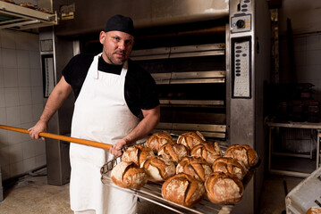 professional bread baker in bakery shop and posing with shelf with uncooked raw bread knead on...