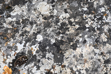 High quality stone and rock textures and backgrounds. Sets of black, gray, blue and yellow colors. rusty textures.