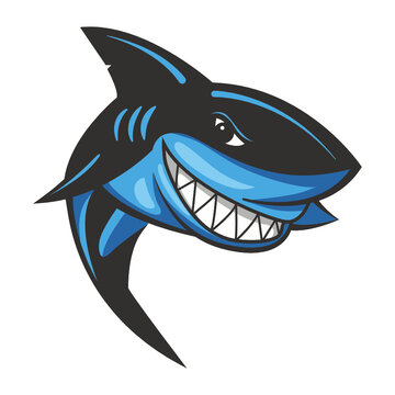 Cartoon Shark logo and mascot isolated on white background - Vector