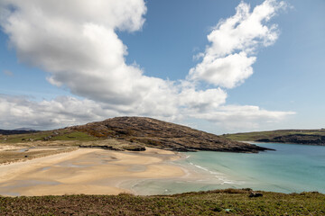 Horse looking straight at the camera in the beautiful scenario of Barley Cove, Mizen Peninsula, County Cork, Ireland