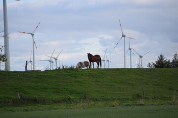 Windr&auml;der in Norddeutschland
