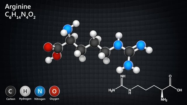 Arginine (molecular formula: C6H14N4O2) is an essential amino acid in humans. 3D render. Seamless loop. Chemical structure model: Ball and Stick.