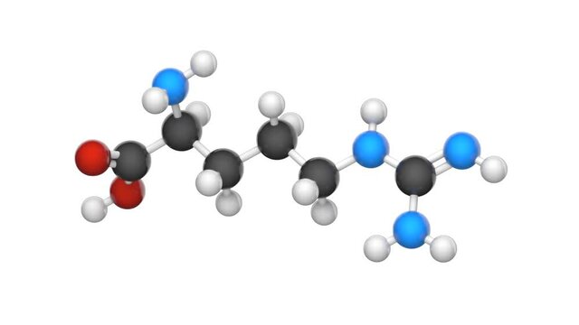 Arginine (molecular formula: C6H14N4O2) is an essential amino acid in humans. 3D render. Seamless loop. Chemical structure model: Ball and Stick. White background.