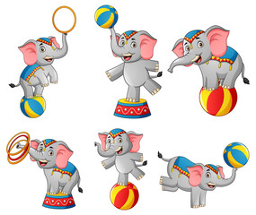Set of cute circus elephant cartoon. Vector illustration © Ruangdesign19