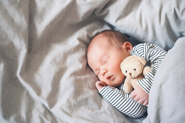 Newborn sleep at first days of life. Portrait of new born baby one week old with cute soft toy in...