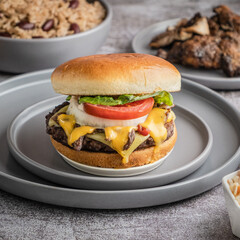 Dripping Cheese Burger 