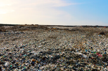 Garbage dump with plastic bags and food waste. Recycling of waste on junk yard. Dispose the rubbish...