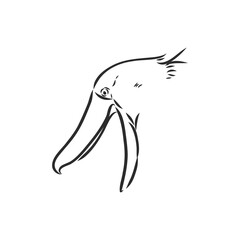 Hand drawn sketch style shoebill. Vector illustration isolated on white background.