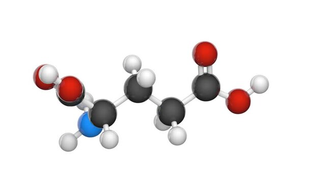 Glutamic acid (Glu), also referred to as glutamate, is one of the 20 proteinogenic amino acids. Formula: C5H9NO4. 3D render. Seamless loop. Chemical structure model: Ball and Stick. White background.