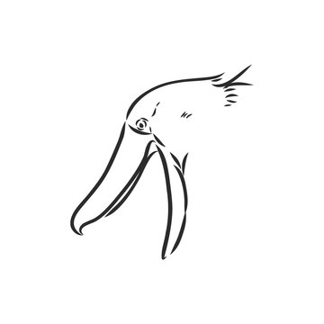 recommend clip art: Hand drawn sketch style shoebill. Vector illustration isolated on white background.