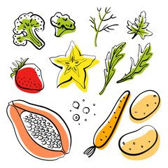 Colorful line sketch collection of vegetables, herbs, fruits and berries isolated on white background. Doodle hand drawn fruits. Vector illustration