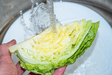 washing lettuce with water close up 