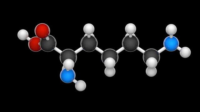 Lysine (symbol Lys or K) is an amino acid that is used in the biosynthesis of proteins. Formula: C6H14N2O2. 3D render. Seamless loop. Structure model: Ball and Stick. RGB+Alpha (Transparent) channel