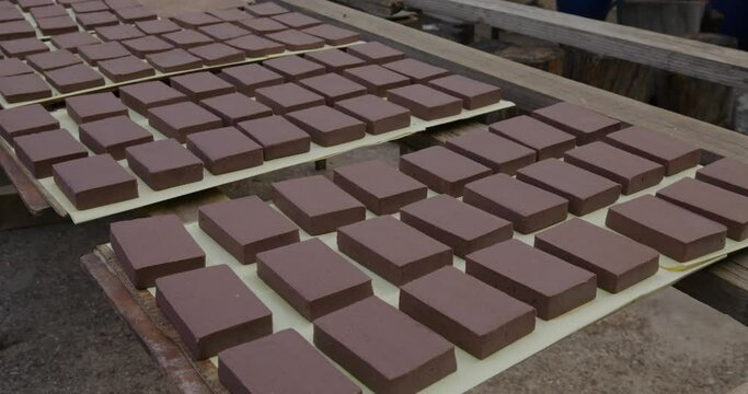 Shrimp paste block dry at outdoor