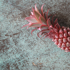Naklejka na ściany i meble Decorative pink pineapple on turquoise background from above. Exotic floral design background
