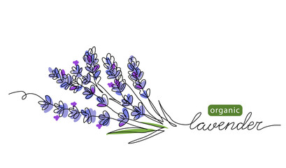 Lavender plant bunch, branch vector illustration. One continuous line drawing illustration with lettering organic lavender - obrazy, fototapety, plakaty