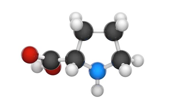 Proline (symbol Pro or P) is a cyclic, nonessential amino acid in humans. Formula: C5H9NO2. 3D render. Seamless loop. Chemical structure model: Ball and Stick. White background.