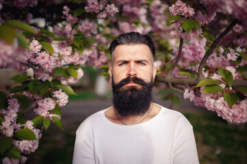 A brutal stylish man with a long dark beard and mustache in a white T-shirt near blooming sakura trees in a park in nature. Adult guy with gray hair and dyed hair