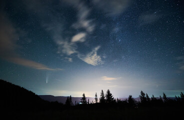 Magnificent view of night starry sky over coniferous wood in mountains. Landscape of mountain...