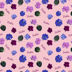 Seamless pattern with pink and blue violet flowers. Viola heads isolated on pink background. Lettering Violets