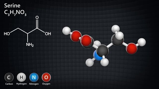 Serine (symbol Ser or S)is an amino acid that is used in the biosynthesis of proteins. Formula: C3H7NO3. 3D render. Seamless loop. Chemical structure model: Ball and Stick.