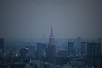 Fototapeta premium 東京摩天楼