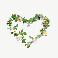 Fleurs et feuilles d'églantier (roses simples) en forme de coeur - obrazy, fototapety, plakaty