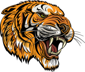 Tigers face. Saber-toothed tiger tattoo © omnipotent