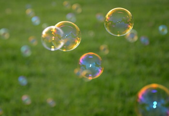 Bubbles blowing gently in the breeze floating in the air above grass
